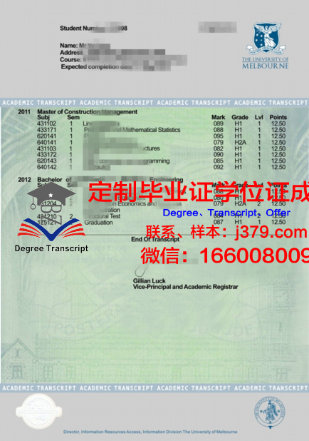 一路向前：大大成绩单背后的奋斗故事