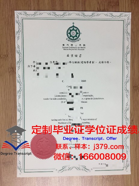 South Aus Uni毕业证成绩单：一份承载荣誉与努力的证明