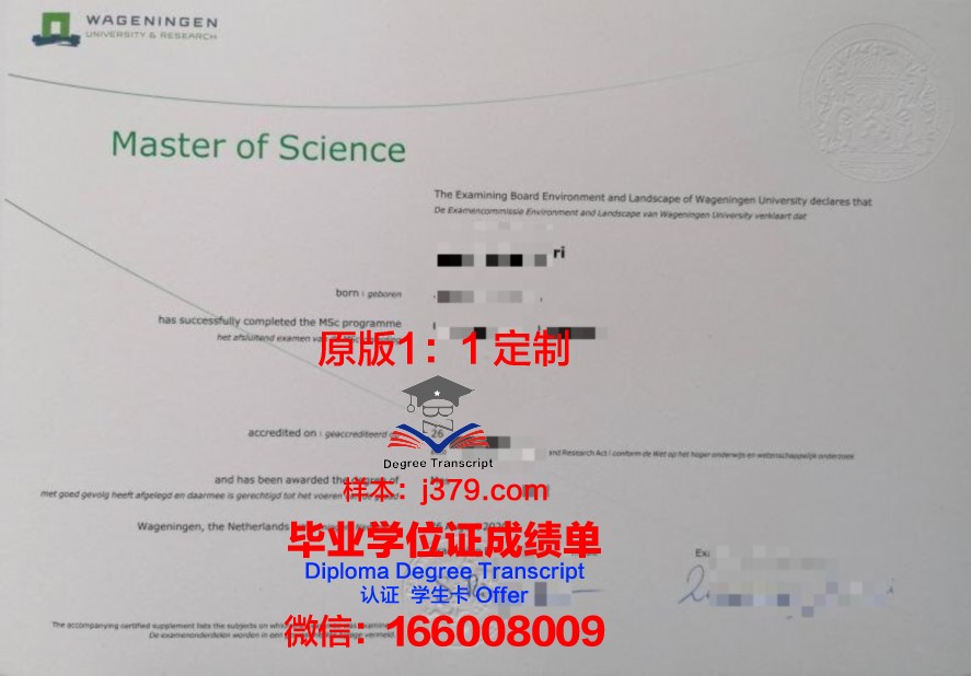 湖滨大学毕业证成绩单：一份承载荣誉与梦想的纸笔传奇