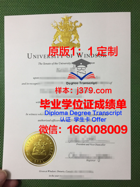 温莎硕士毕业证：跨越时空的荣誉与传承