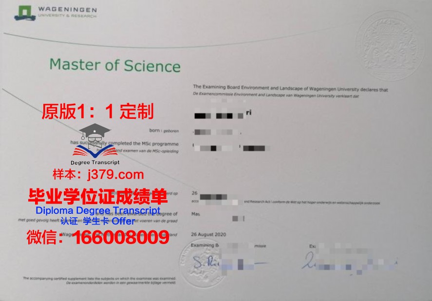 里约联邦大学毕业证Diploma文凭