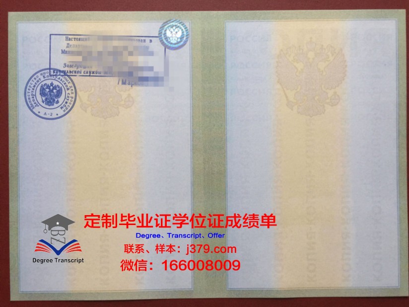 RUSFRI成绩单：揭示俄罗斯与弗里吉亚的经济、政治与文化交融