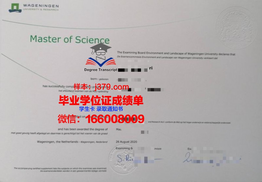 国外毕业证回来能找什么工作(国外毕业证回来能找什么工作好找)