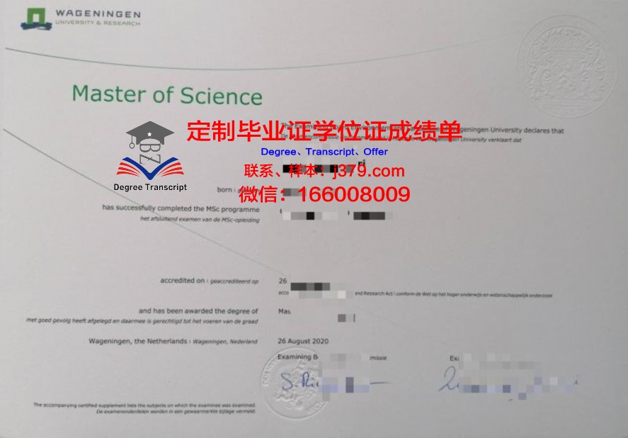 金城大学毕业证丢失怎么补办
