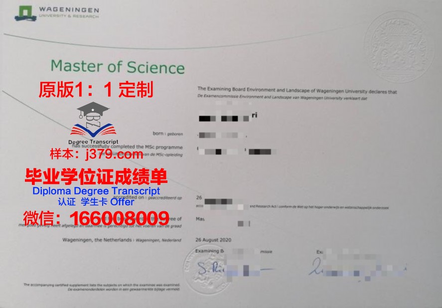 SPb ITMO大学毕业证：开启全球IT行业大门的钥匙