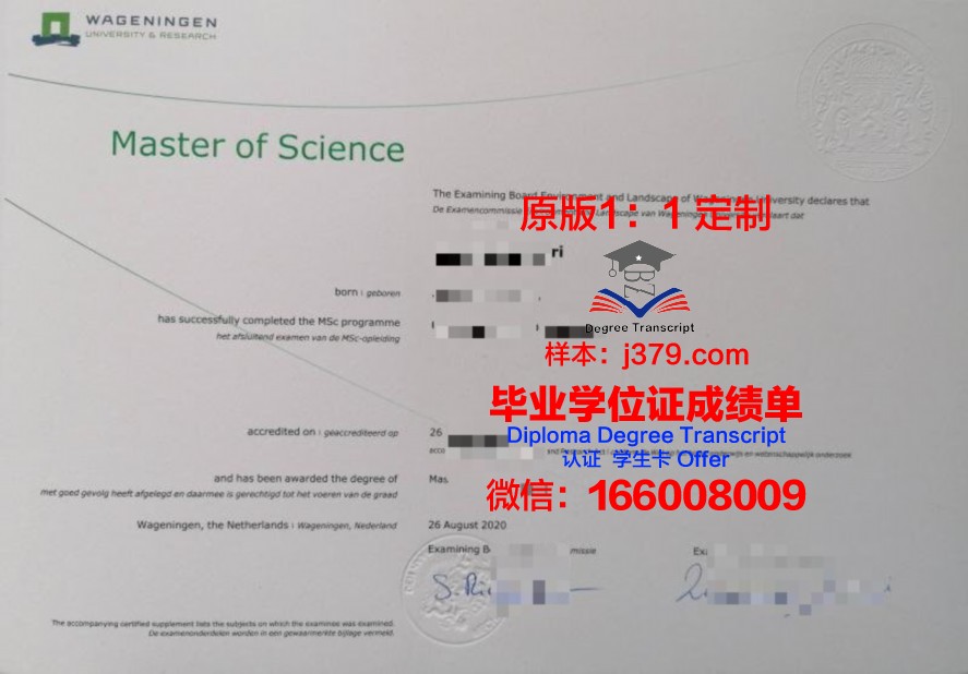 nyu毕业证(nyusps毕业证)