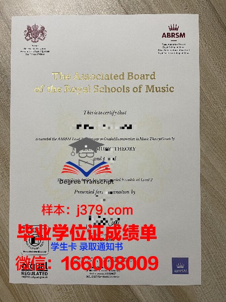 一路走来！大广博士证书的申请流程解析