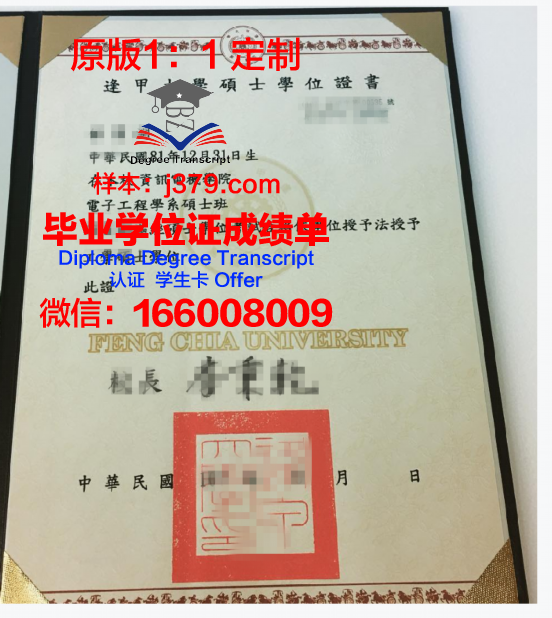 PUCV本科学位证：一份不可或缺的学术荣誉