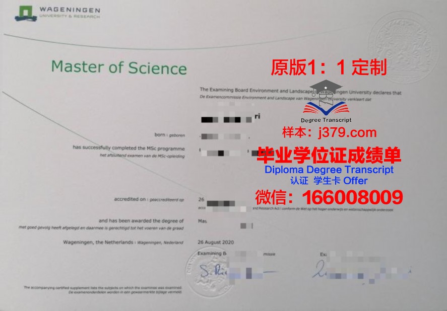 RUFA博士毕业证：一张纸的重量与价值