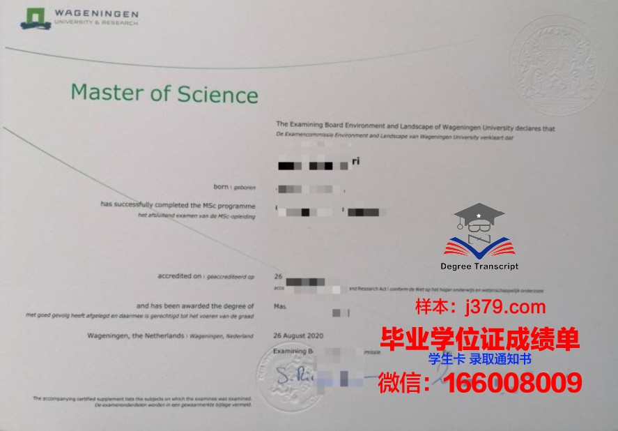 韩国弄丢他人毕业证(韩国留学没有毕业证)