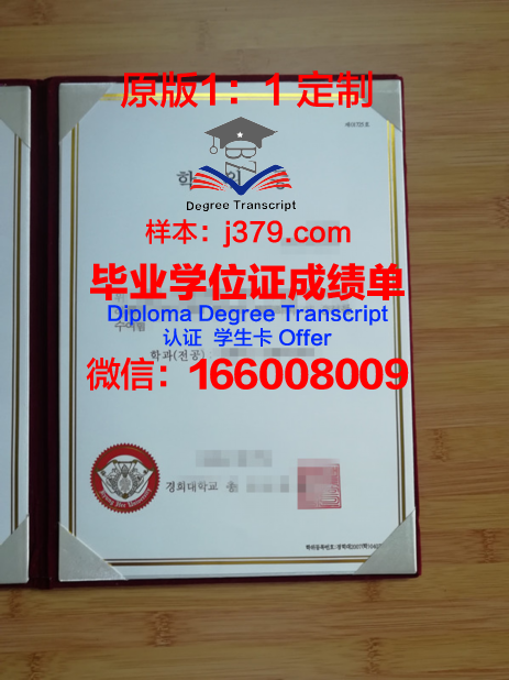 韩国的毕业证丢了(韩国毕业证买的可以查到吗)