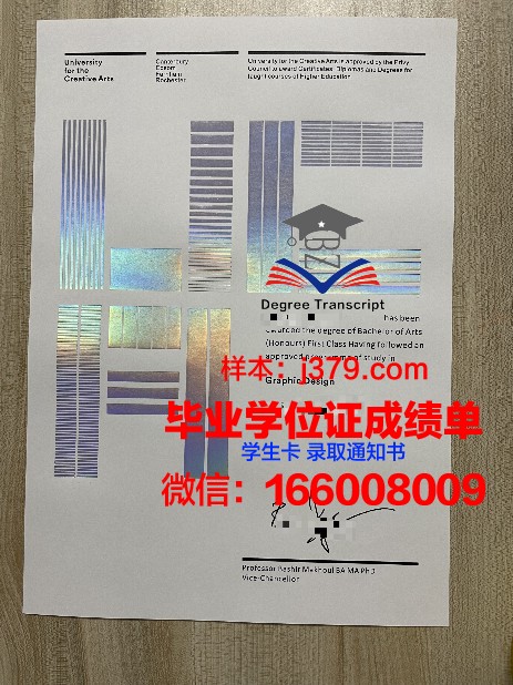 SAE创意媒体学院毕业证书图片高清(sae创意传媒学院怎么样)