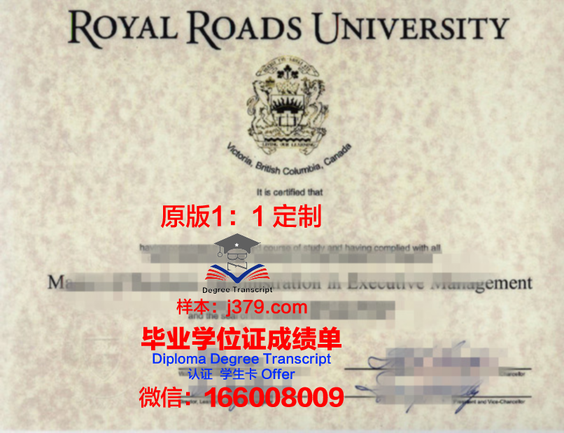国外学历翻译免费(国外学位证书翻译机构)