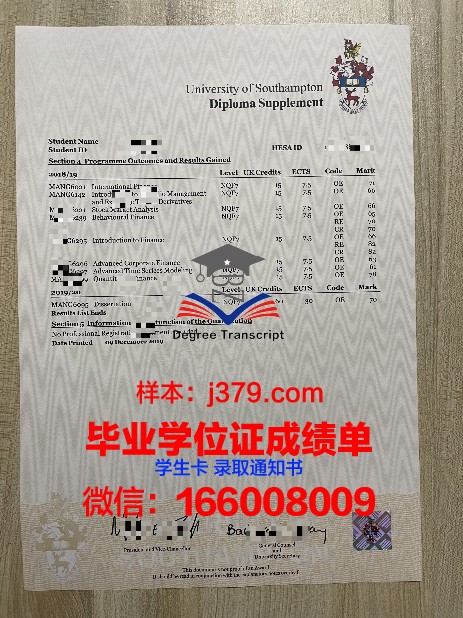 サマラ大成绩单：揭示学业成就背后的故事