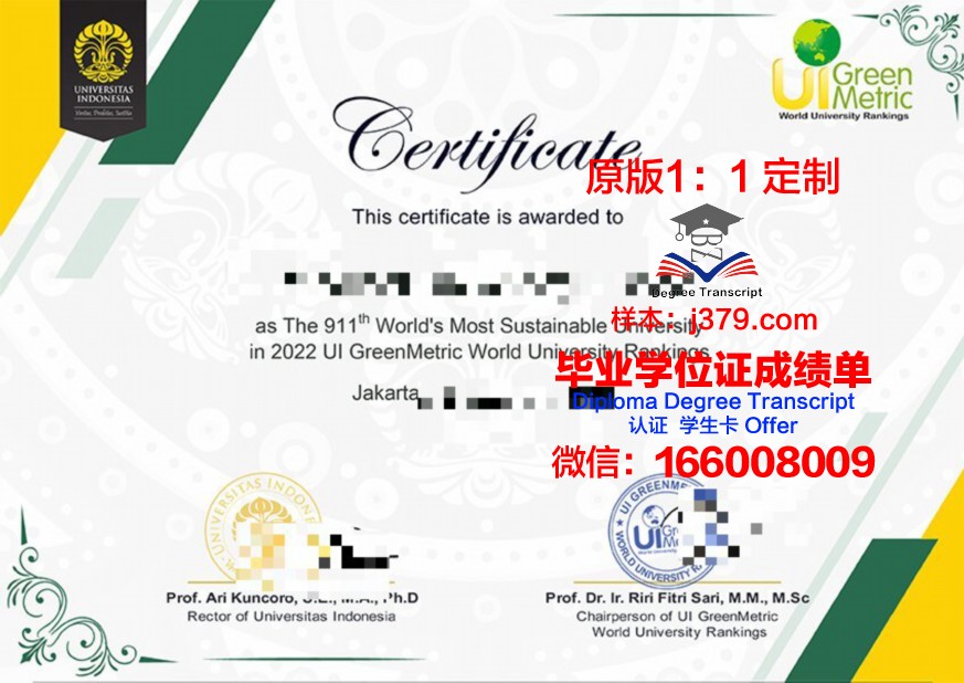 上智成绩单解析：掌握学习方法与技巧