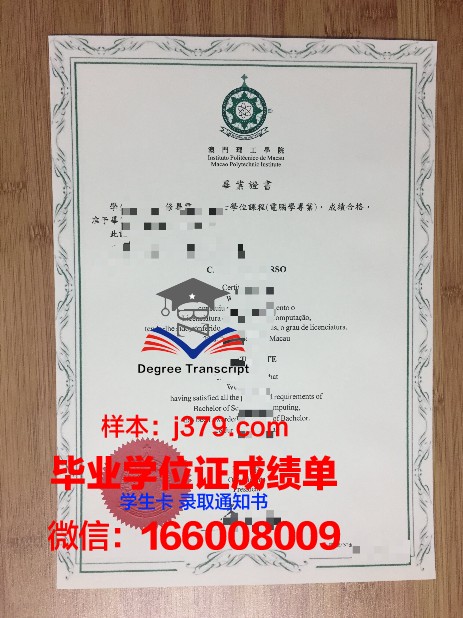 Roma I毕业证成绩单：承载荣誉与回忆的纸笔见证