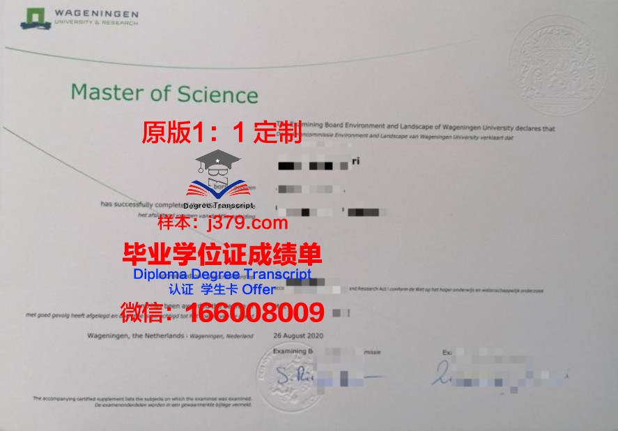 国外毕业证样板(国外毕业证尺寸多大)