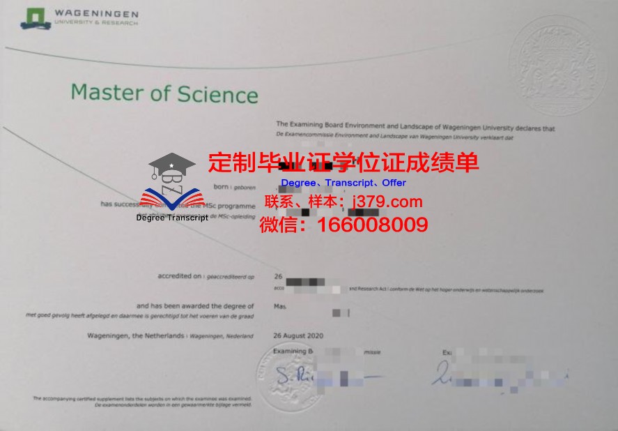Rits博士毕业证：一张纸的重量