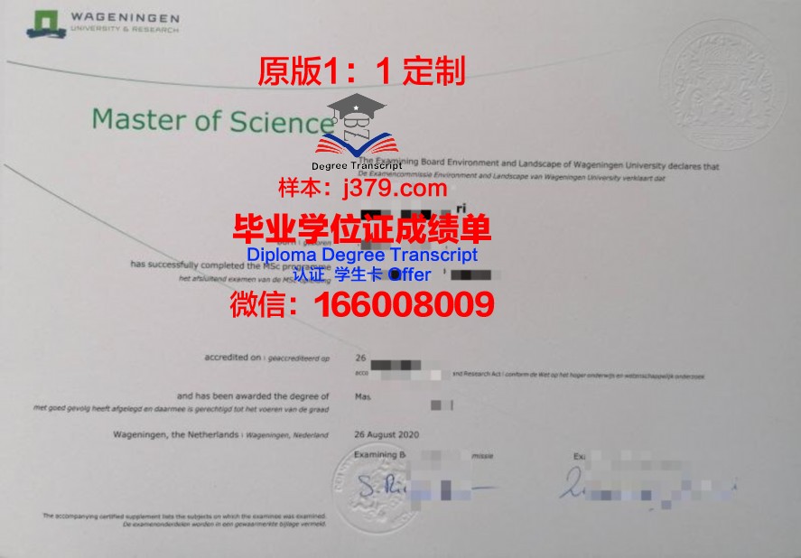 rmit大学毕业证(rmit毕业证长什么样)