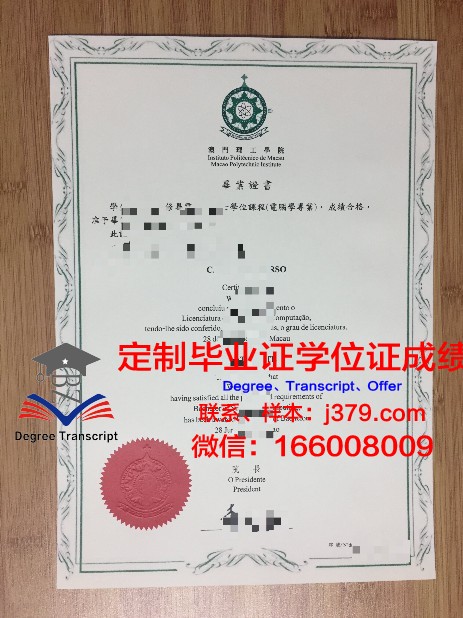 Potsdam Uni硕士毕业证：开启国际视野的通行证
