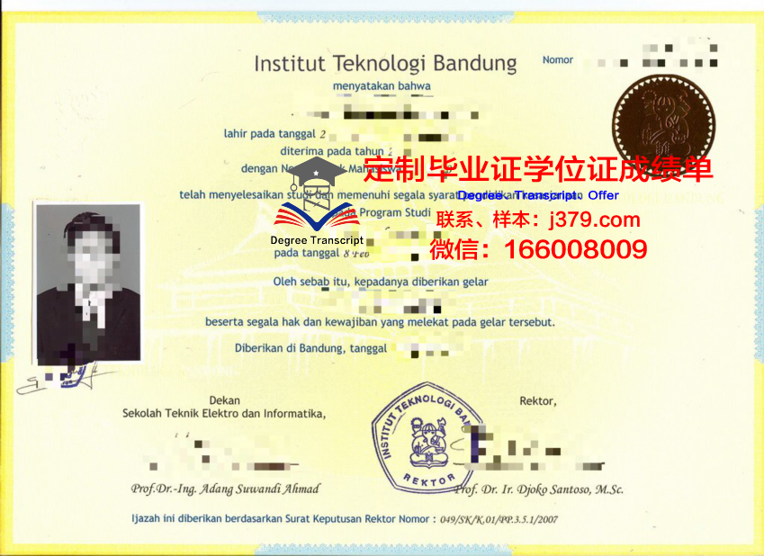 万隆技院硕士证书：职场晋升的黄金敲门砖