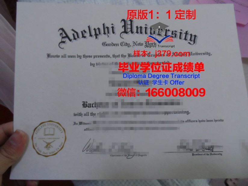 阿德菲大学毕业学位