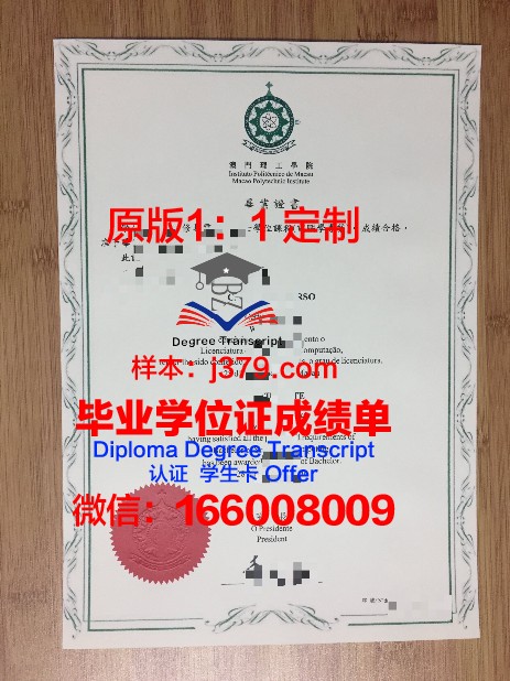SOTON硕士毕业证：开启国际化教育新篇章