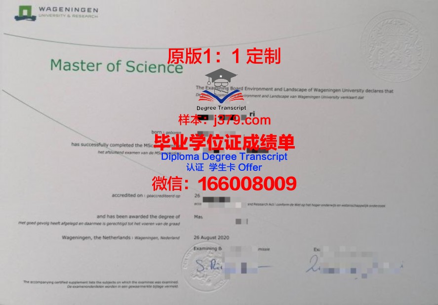雷恩商学院毕业证Diploma文凭