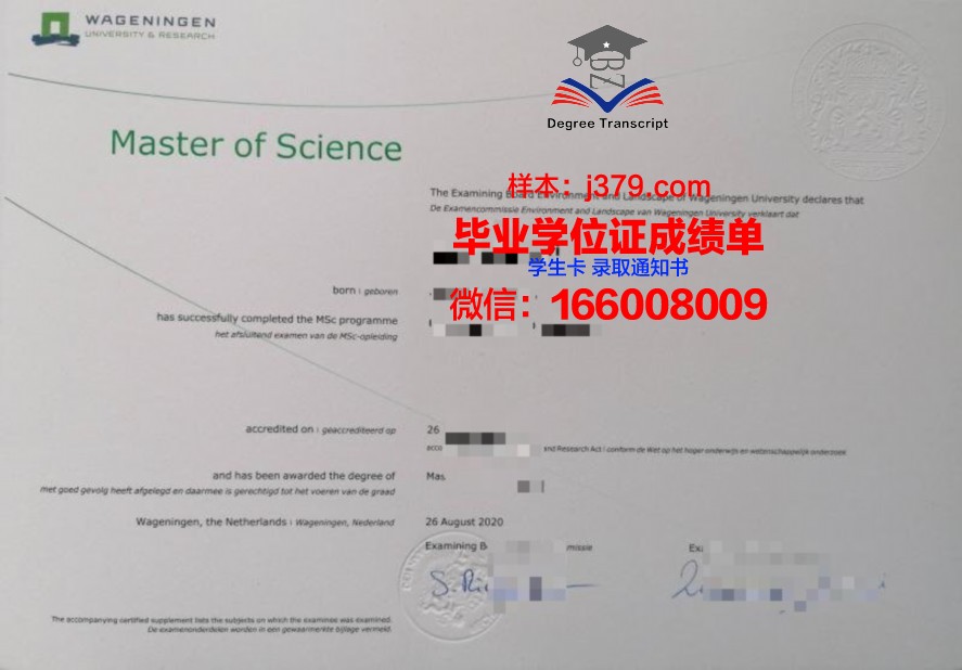 Sapienza毕业证成绩单：承载荣誉与回忆的纸笔之间
