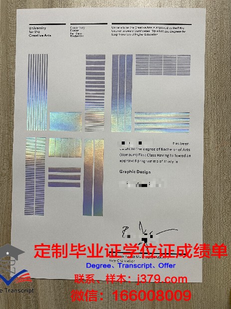 SAE创意媒体学院的毕业证都能做(创意媒体硕士)