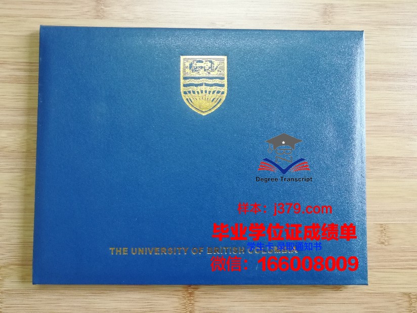 万理工毕业证壳子：材质与工艺探究