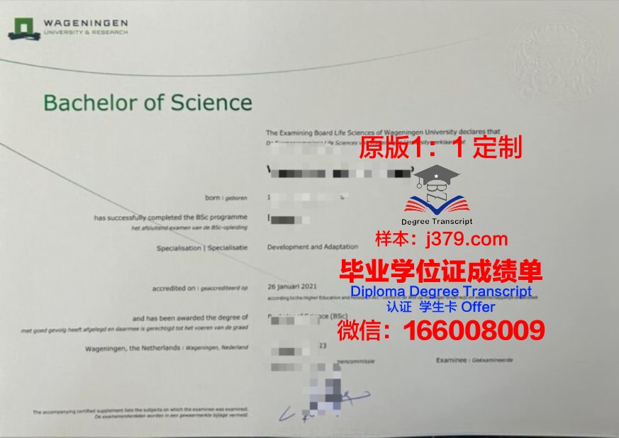 慕大本科证书：如何高效备考与通关