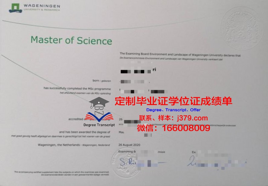 Rainbow Warriors毕业证成绩单：记录青春足迹，彰显青春风采