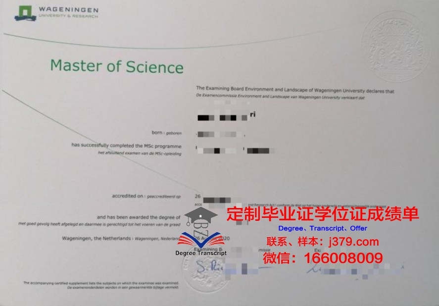 SPBU毕业证：一份充满荣誉与梦想的证书