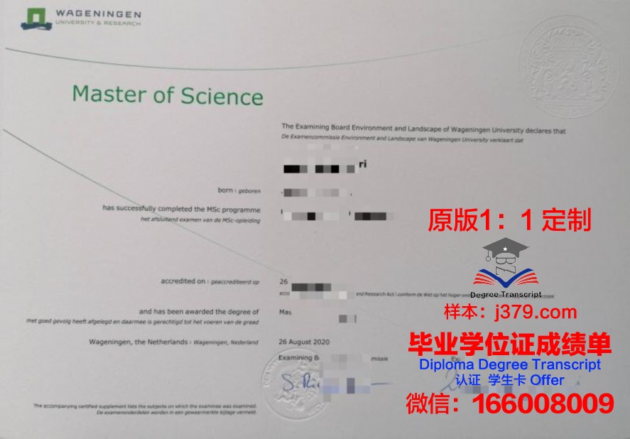 一键获取：基大毕业证电子版申请全攻略