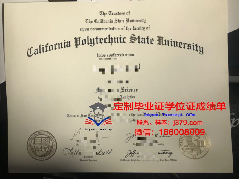 万理工Diploma证书：打开国际职场大门的金钥匙