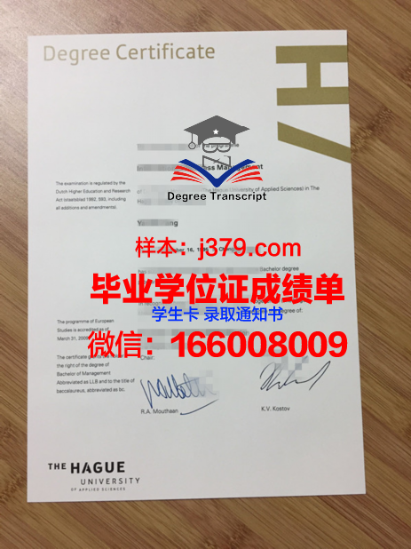 海牙应用科学大学毕业证书模板(海牙应用技术大学)