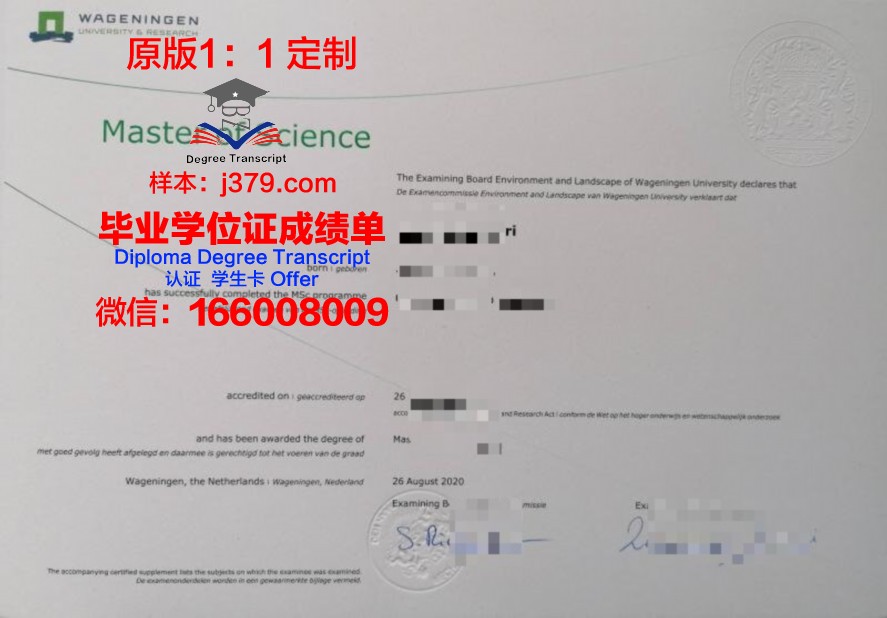 PUCRJ本科毕业证：一份承载梦想与荣誉的证书