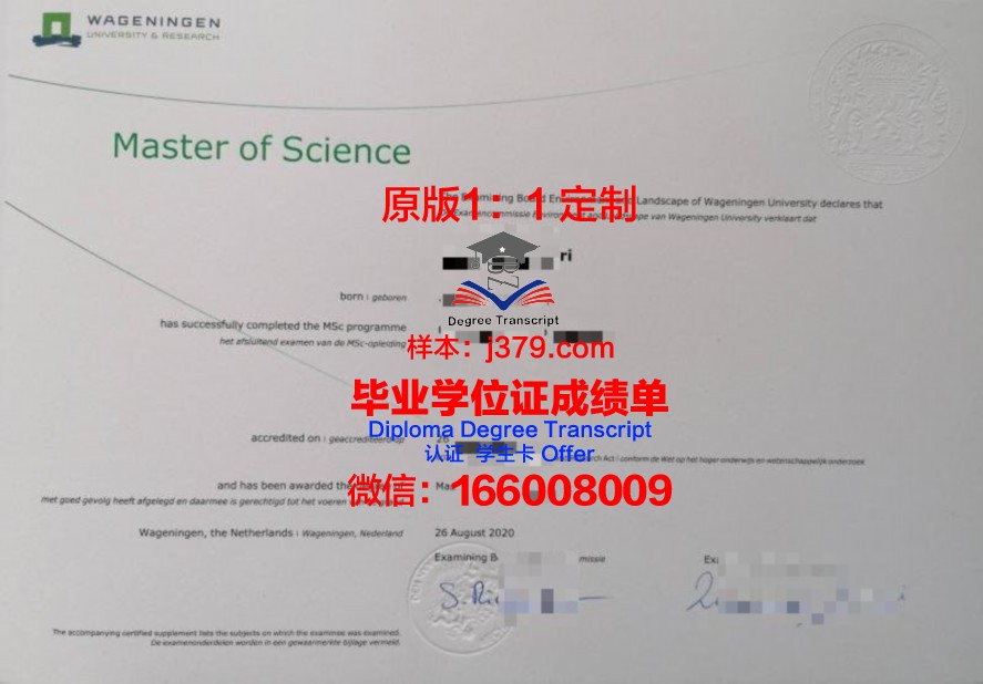 PATU毕业证：一张通往未来的通行证