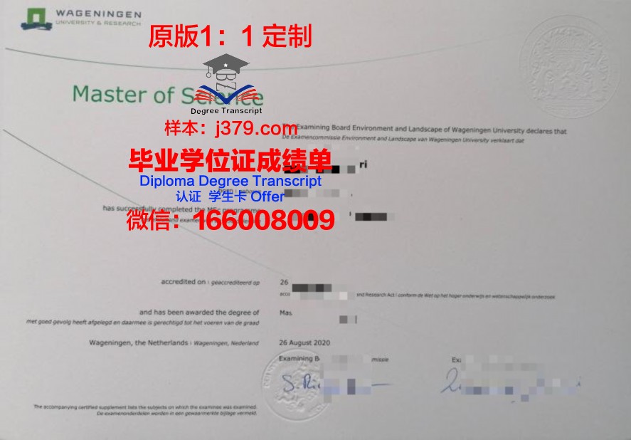 SKIT硕士毕业证：开启职业生涯的黄金钥匙