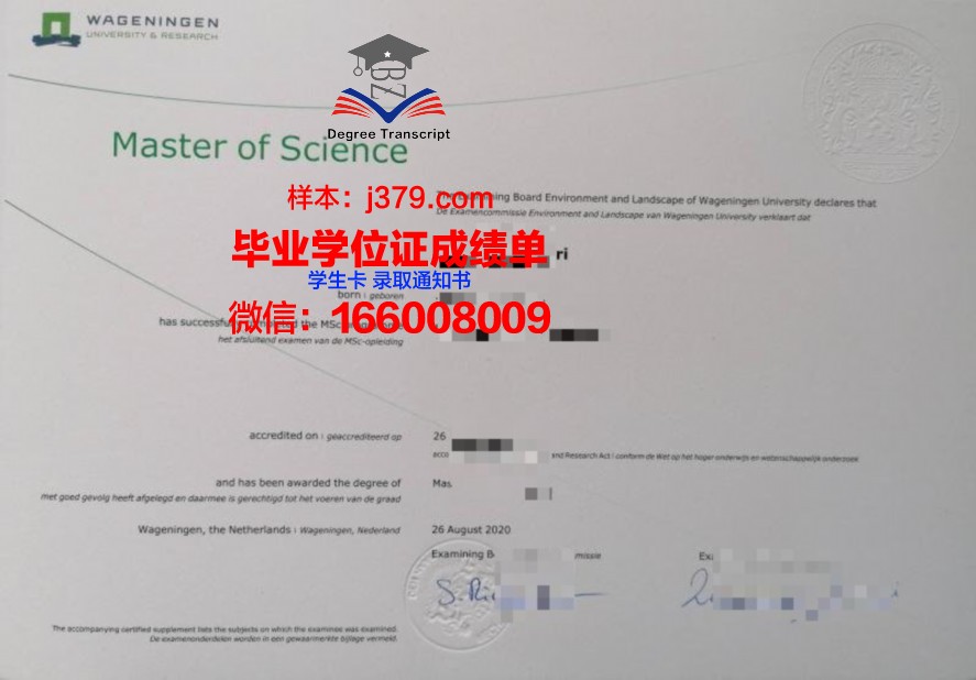 一桥毕业证电子版：毕业生就业与求职优势