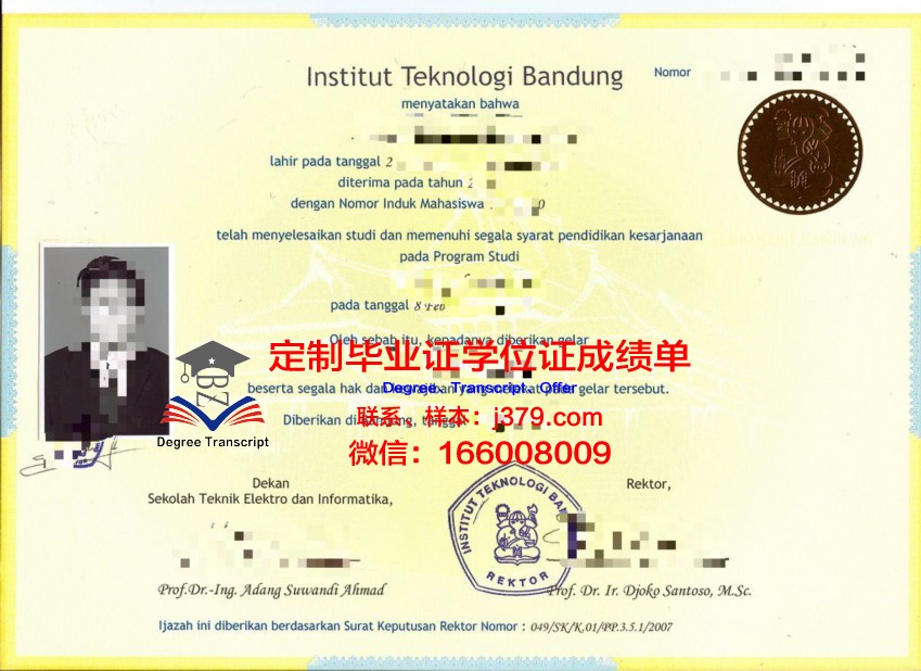 万隆技院成绩单解读：全面分析学生表现