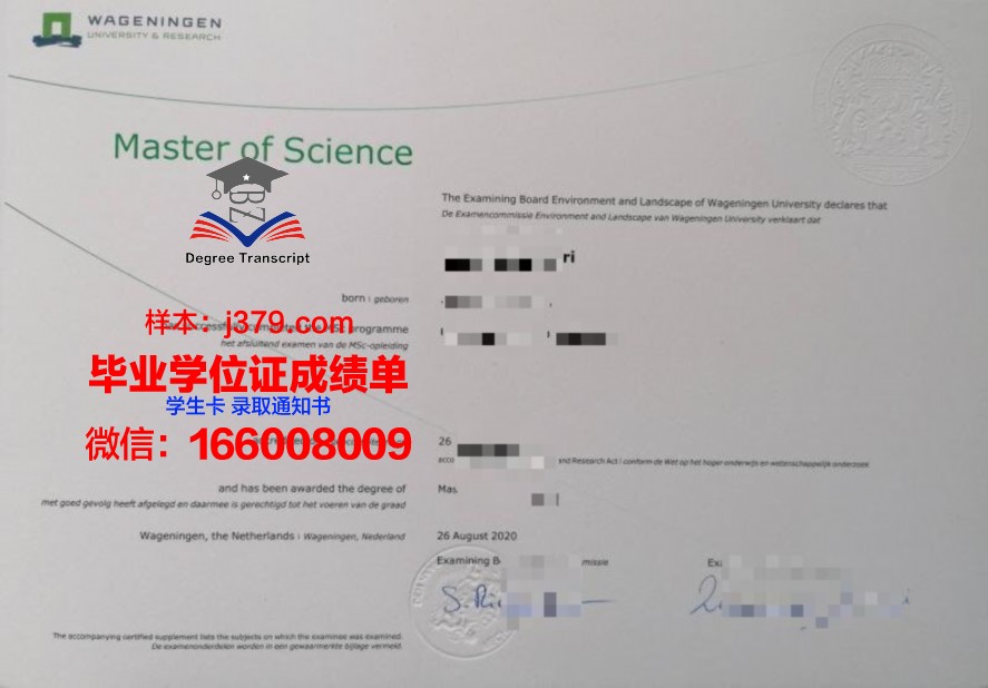 韩东大学毕业证：承载荣誉与梦想的证书