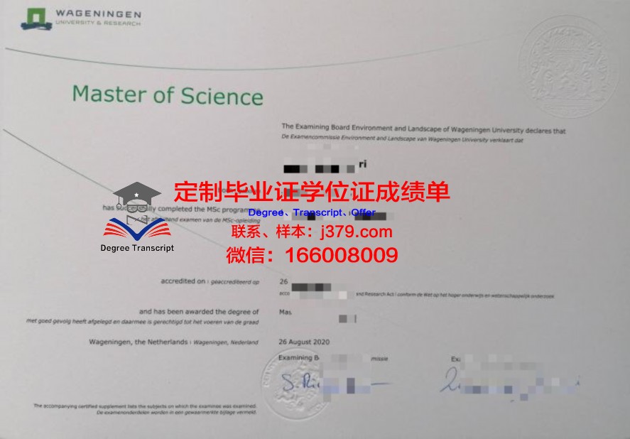 涅任国立大学硕士毕业证：跨越国界的学术荣耀
