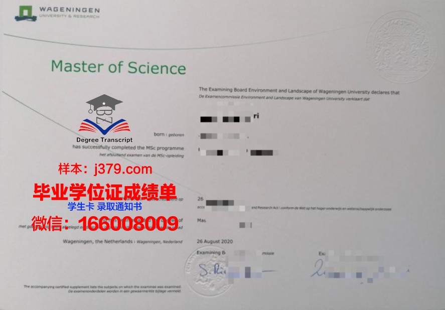 一探究竟：孟工大毕业证样式大揭秘