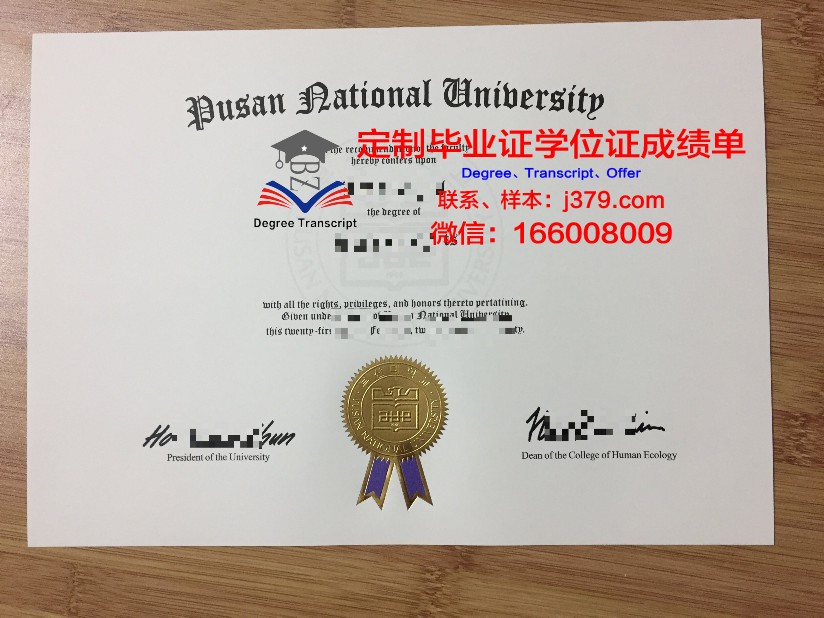 釜山国立大学毕业证diploma