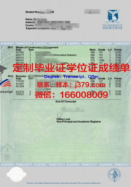 N大学位成绩单定制：探索背后的市场需求与诚信困境