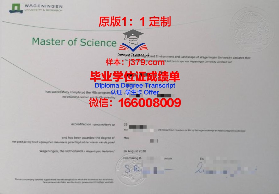NYU毕业证尺寸(uiuc毕业证)