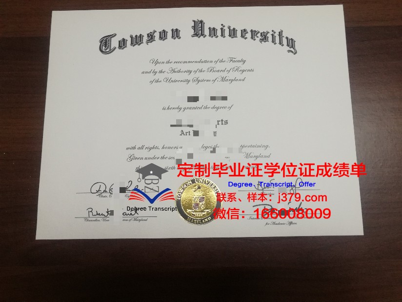 陶森大学毕业证成绩单