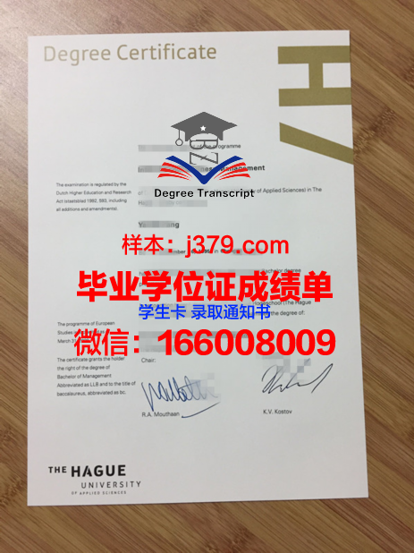 海牙酒店学院博士毕业证：开启国际酒店管理新篇章
